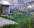 Merabi's Guesthouse, Kazbegi